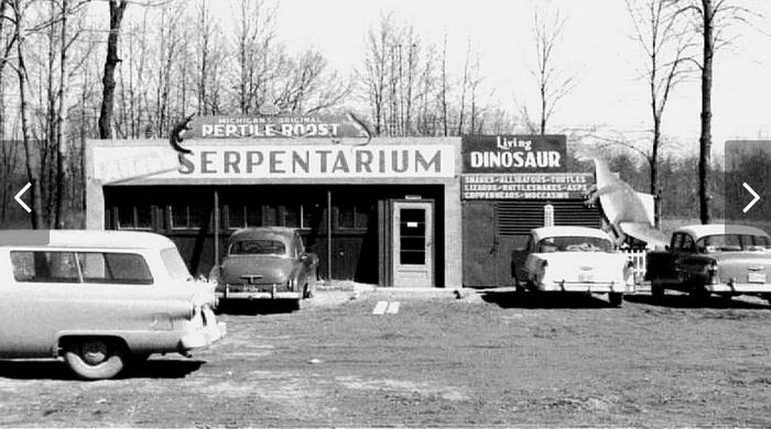Snakes Alive - The Serpentarium (newer photo)